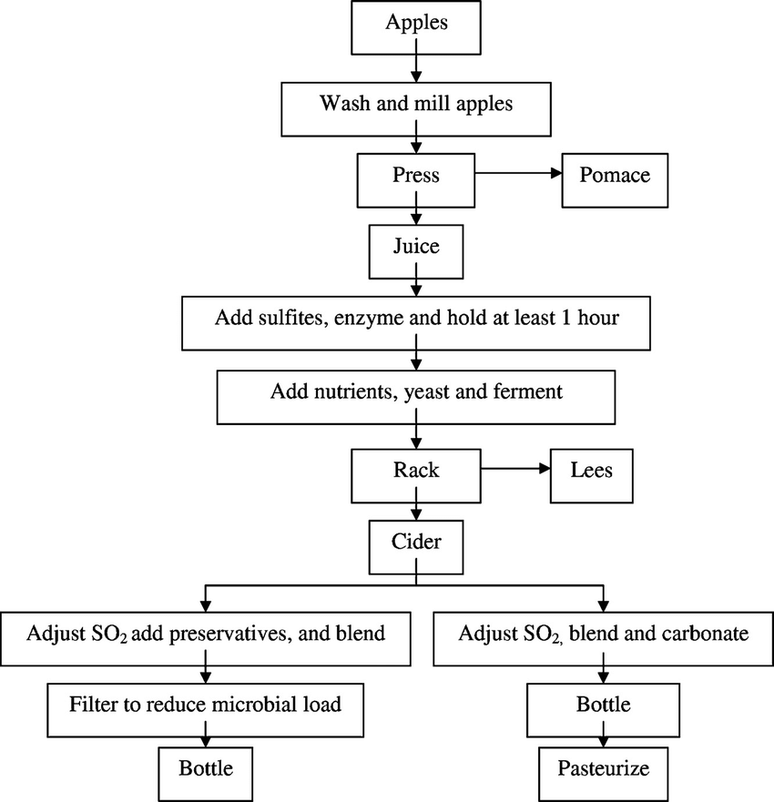 Cider Production, Extraction, Fermentation and Maturation