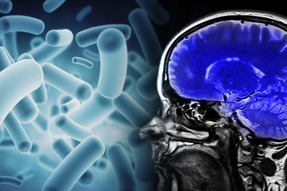 Autisme et microbiote Microbiome Foundation