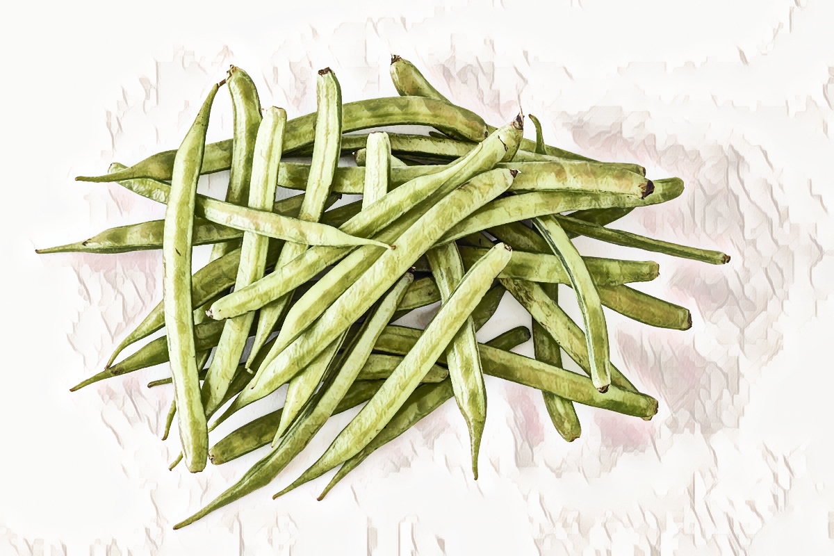 Guar Gum Microbiome Signatures