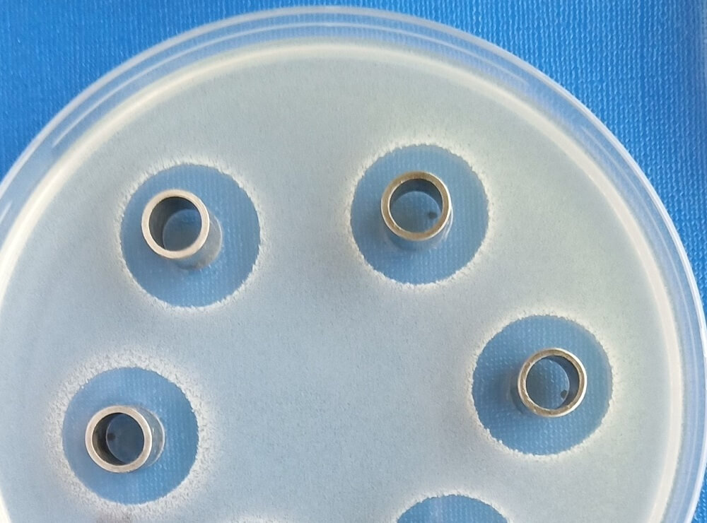 Antimicrobial Testing Service Best Microbiqlogical Services