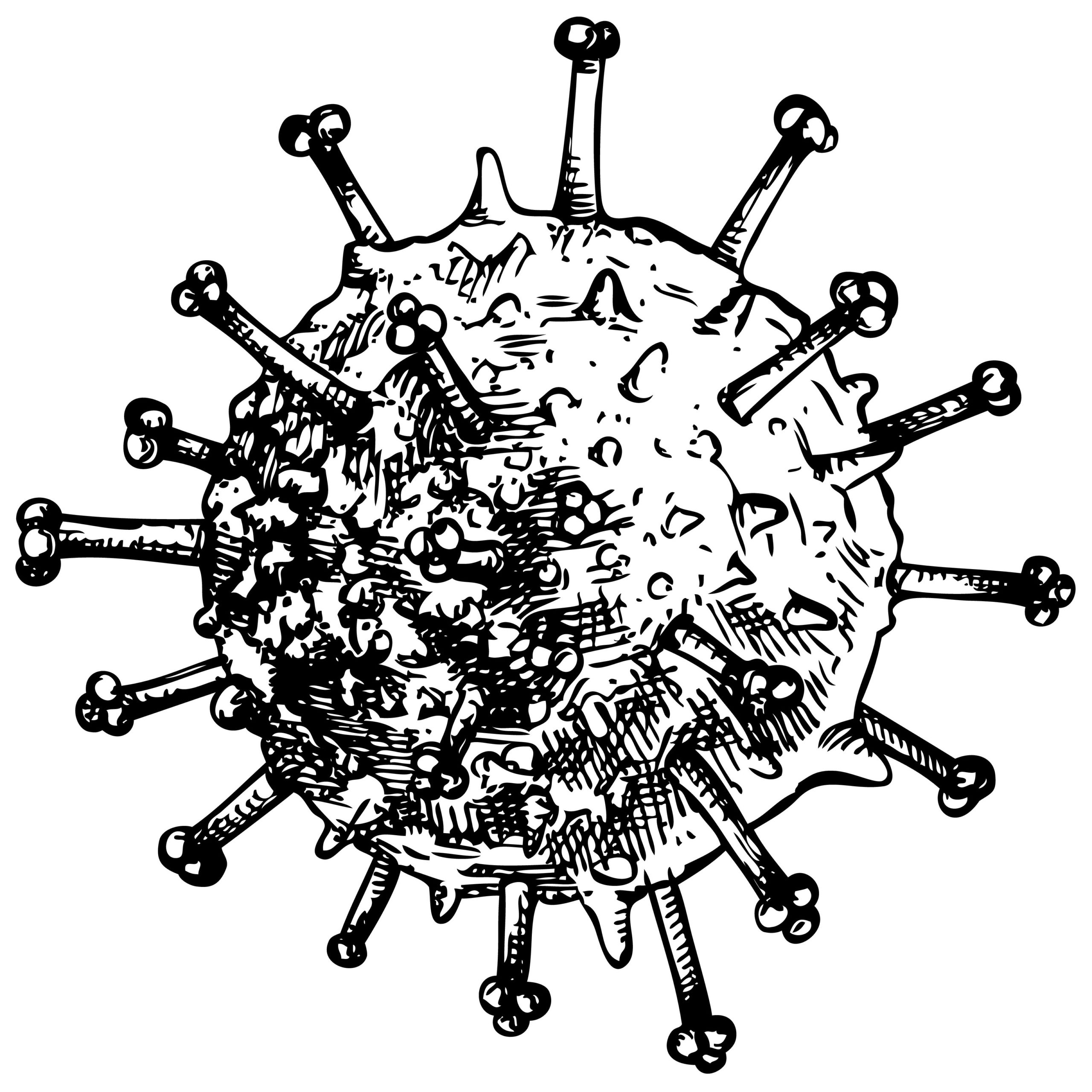 Measles Grade 2 Microbix Biosystems Inc.