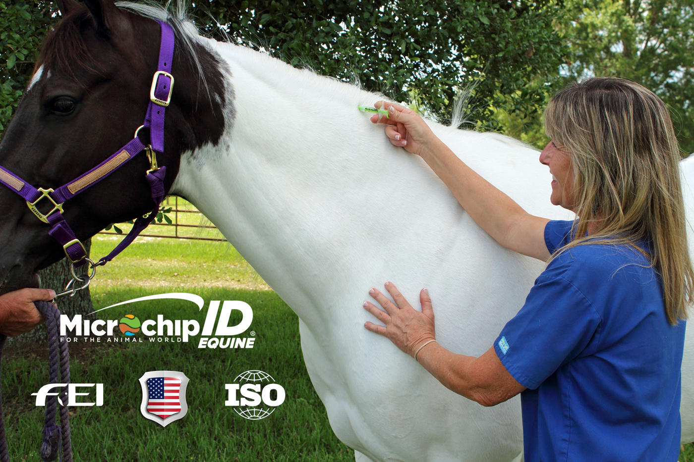 How to install a microchip in a horse? • Microchip ID Systems Equine Division