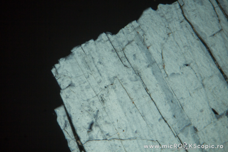 Apatite thin section Nonsilicates MicROCKScopic