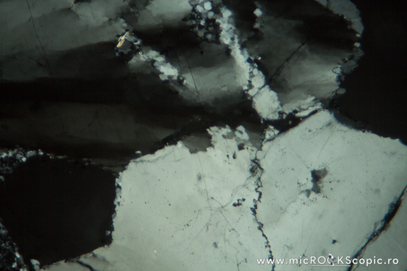 Quartz thin section Tectosilicates MicROCKScopic