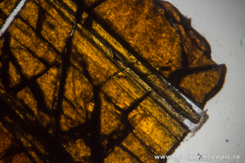Rutile thin section Nonsilicates MicROCKScopic