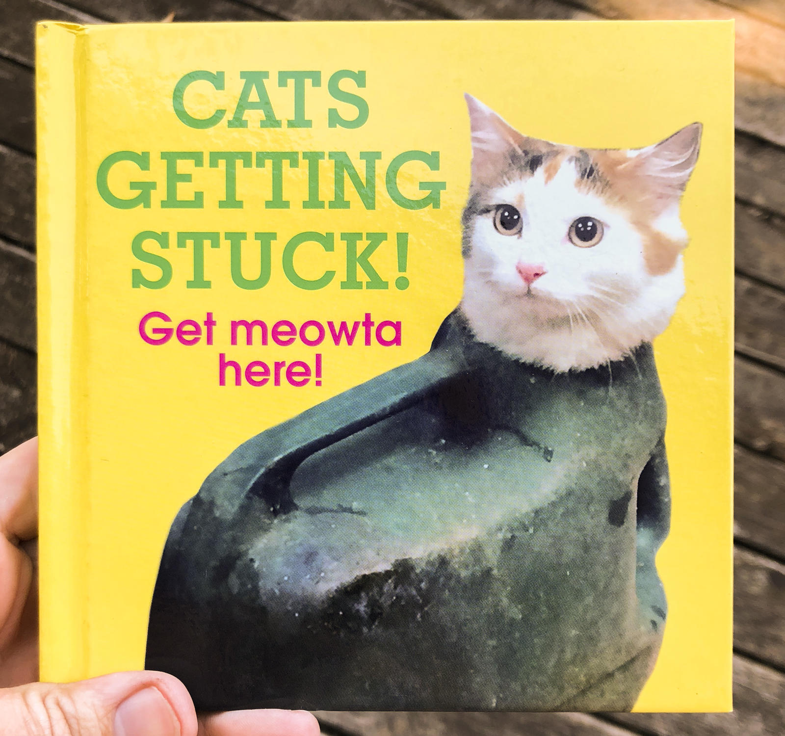 Cats Getting Stuck! Microcosm Publishing