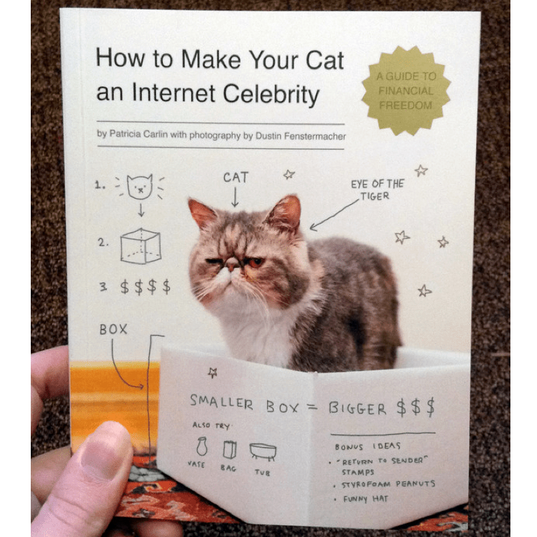How to Make Your Cat an Celebrity A Guide to... Microcosm