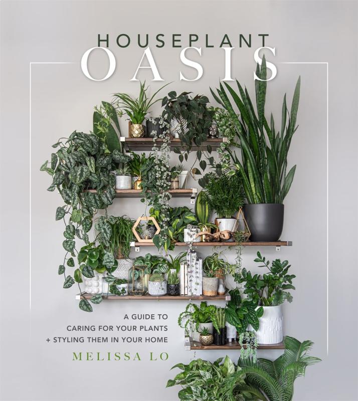 Houseplant Oasis A Guide to Caring for Your Plants +... Microcosm