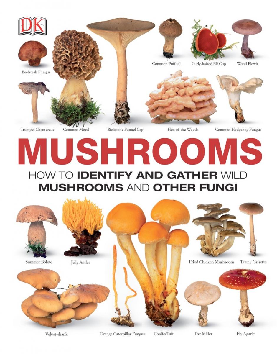 Mushrooms How to Identify and Gather Wild Mushrooms and... Microcosm
