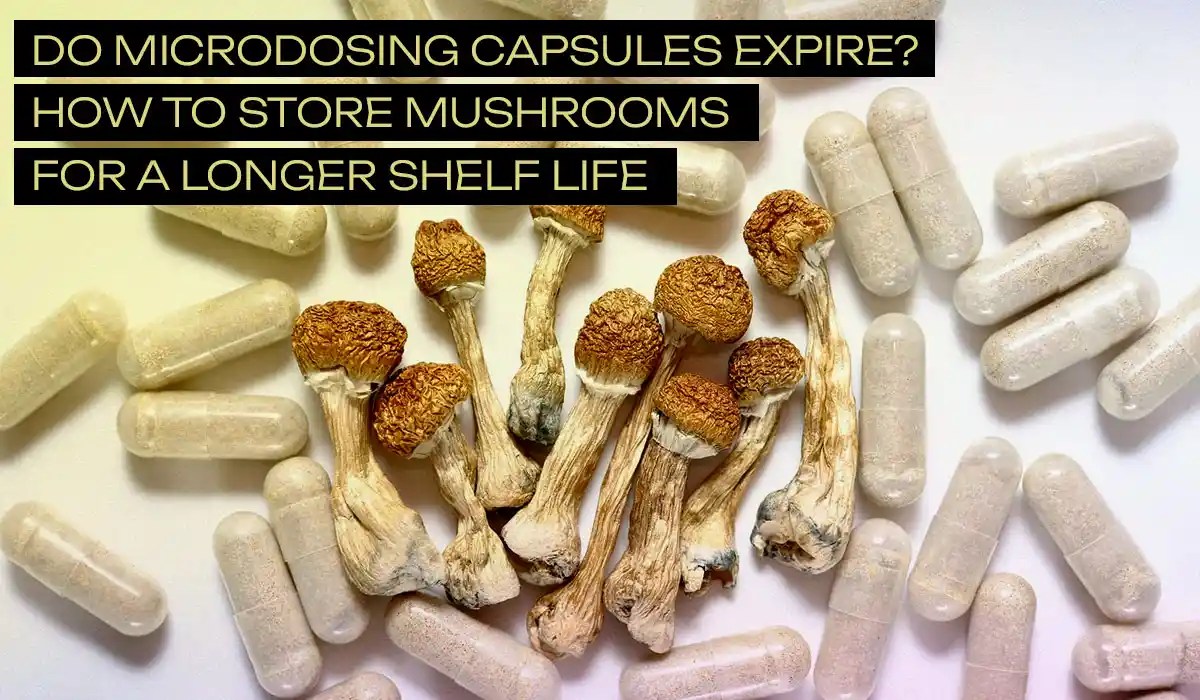 Do Microdosing Capsules Expire? Learn How to Store Them Microdosify