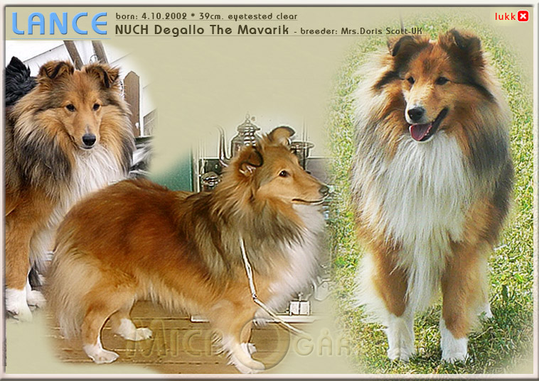 hunder_hovedside_en_10