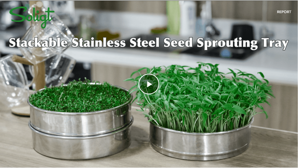 Best Stackable Stainless Steel Sprouter Kit Microgreenology The