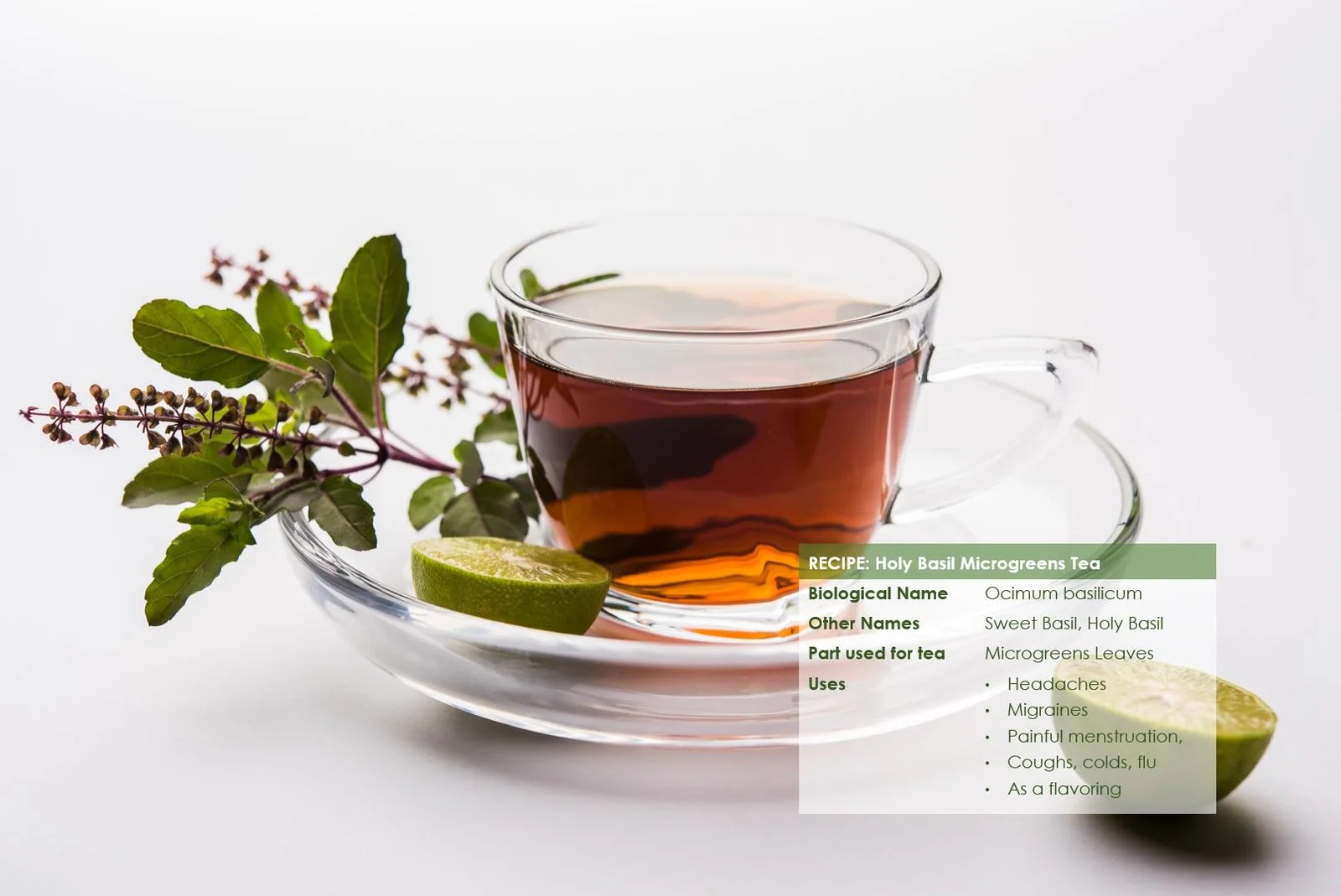 How to Make the Perfect Cup of Microgreens Tea in 6 Steps