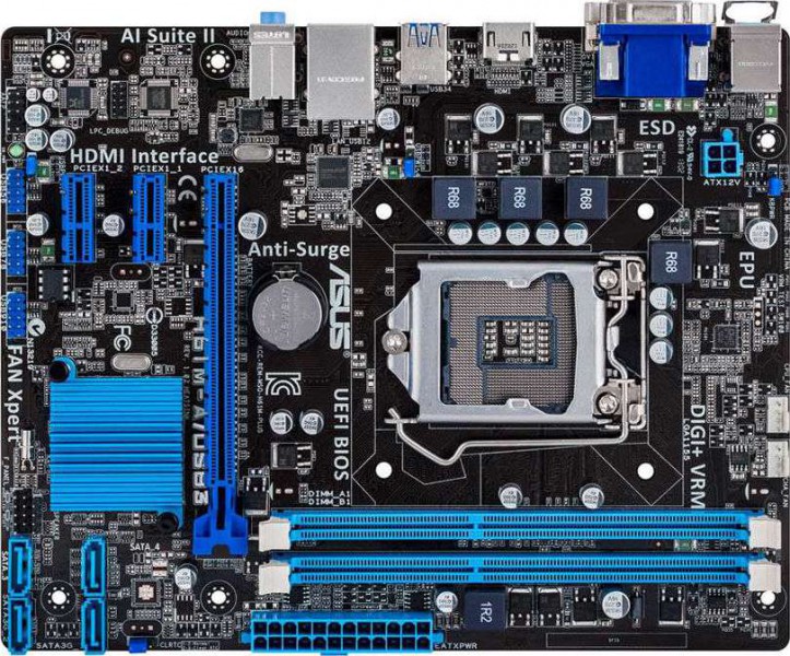 ASUS H61MC Motherboard Buy, Best Price in UAE, Dubai, Abu Dhabi, Sharjah