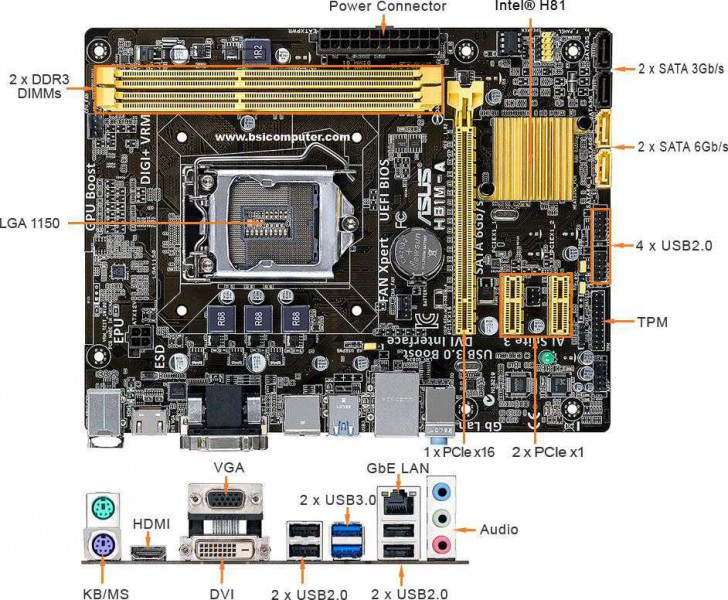 Asus H81MA Motherboard Buy, Best Price in UAE, Dubai, Abu Dhabi, Sharjah