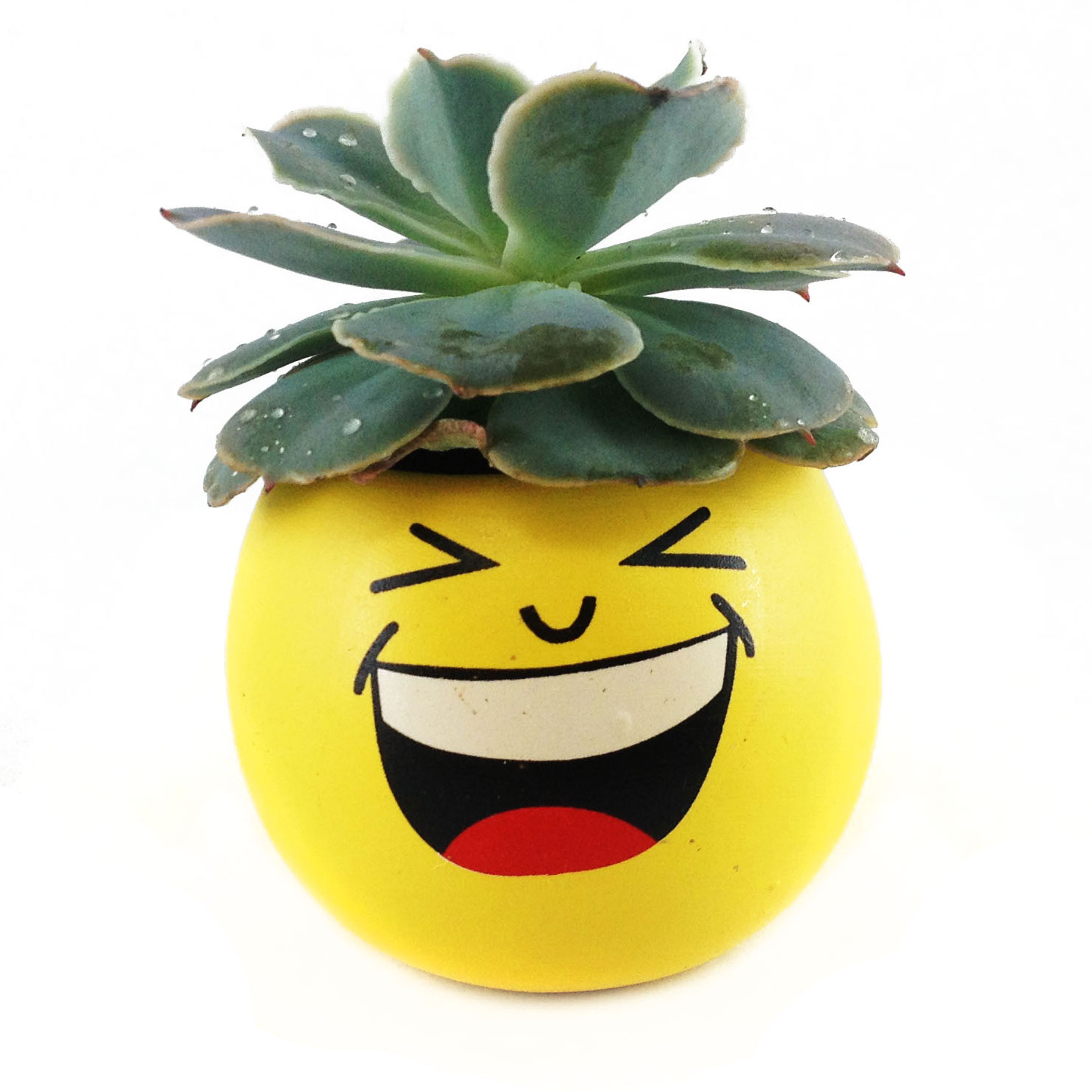 Plant Emoji
