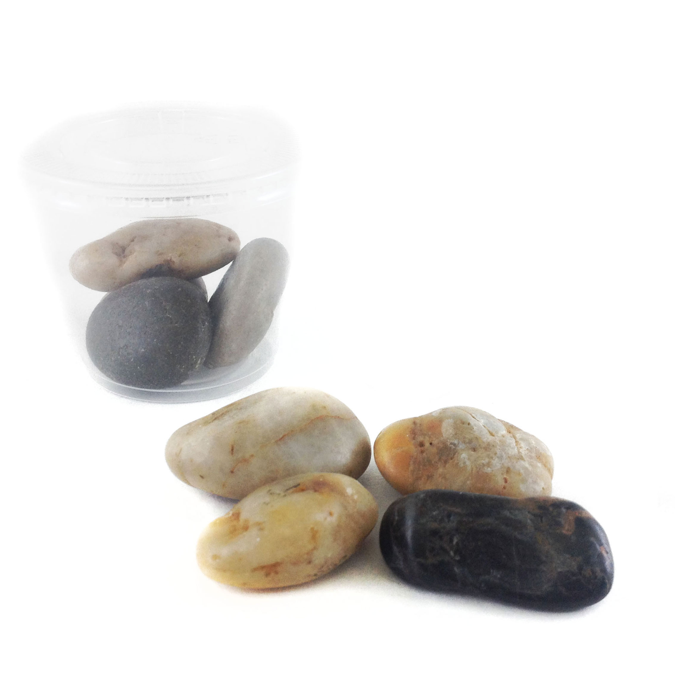 DIY Terrarium Rocks Jade MICRO PLANT STUDIO