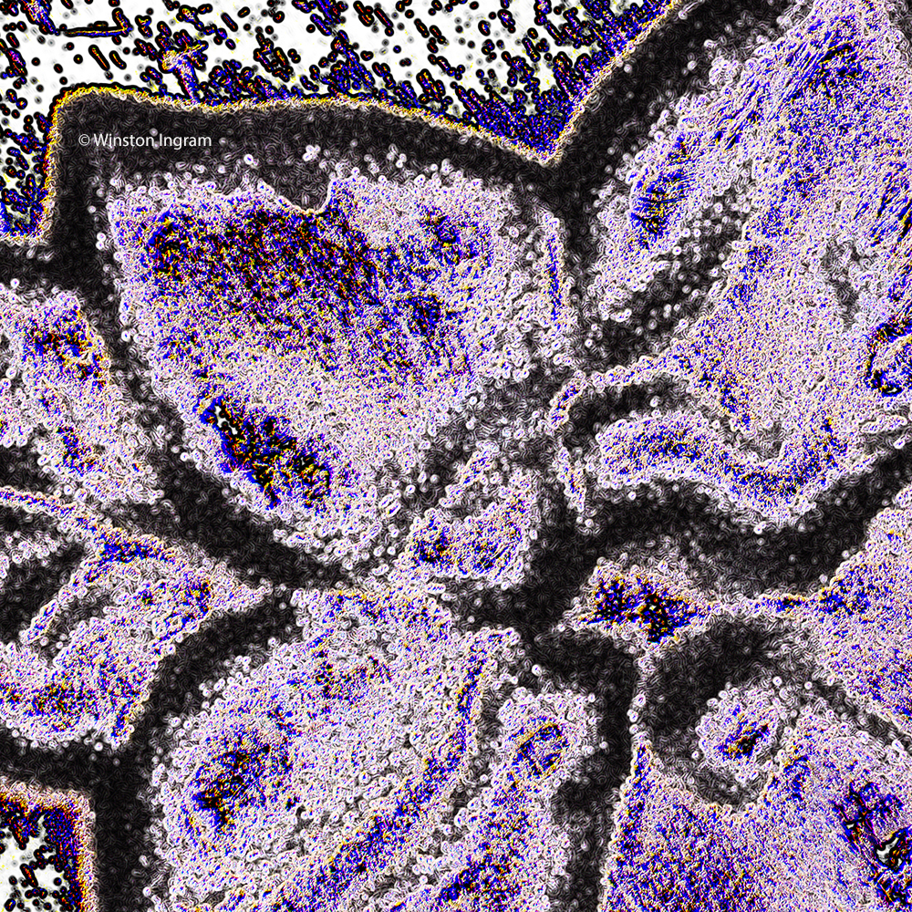 Coins Microbus Microscope Educational Website