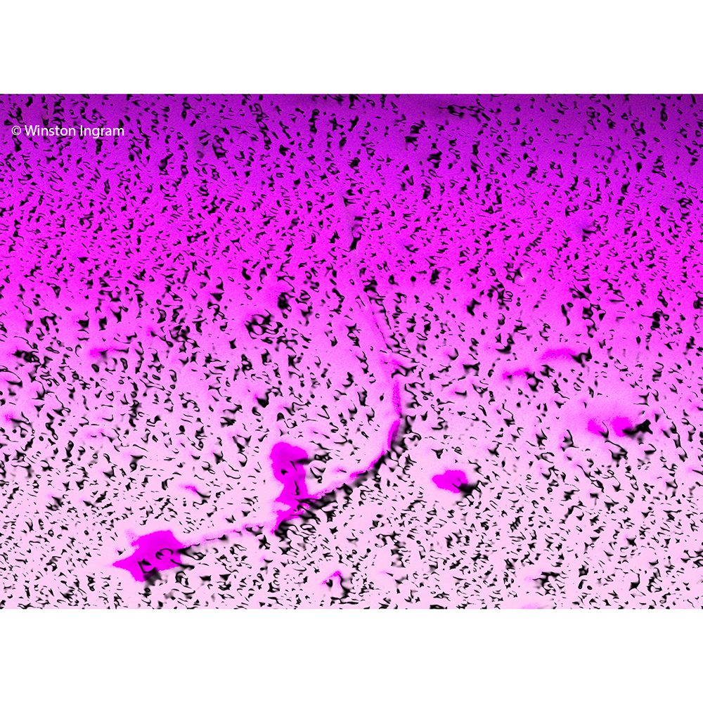 Water under the Microscope Microbus Microscope Educational site