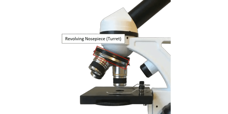 Microscope Nosepiece: Explained – Microscope Clarity