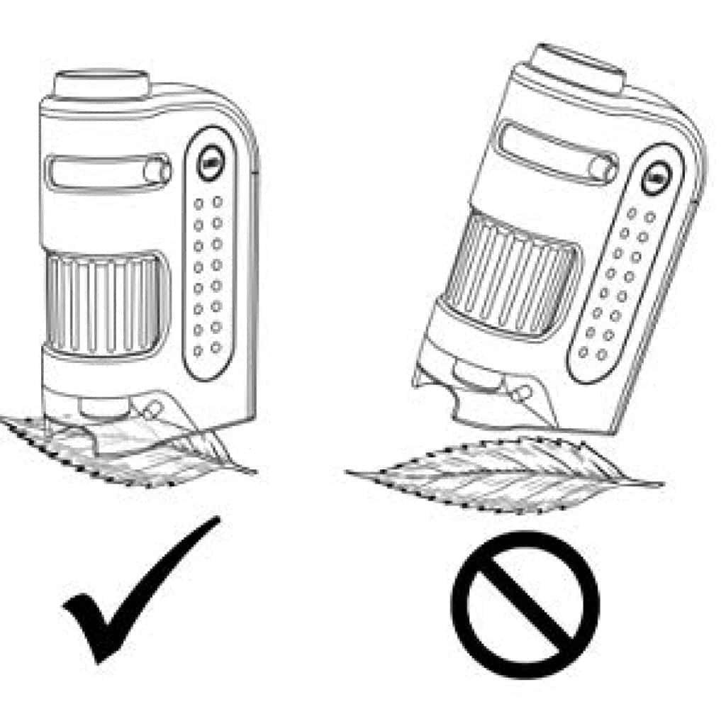 Carson MicroBrite Plus 60x-120x Microscope Review [2023 Edition]