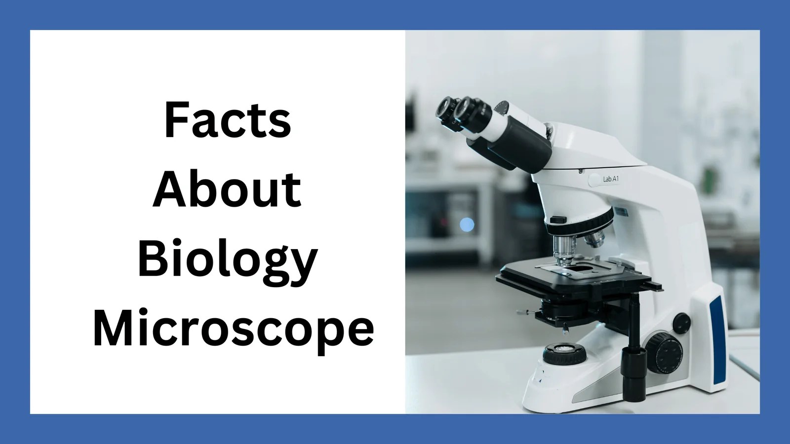 Facts About Biology Microscope Microscope Manufacturer & Supplier