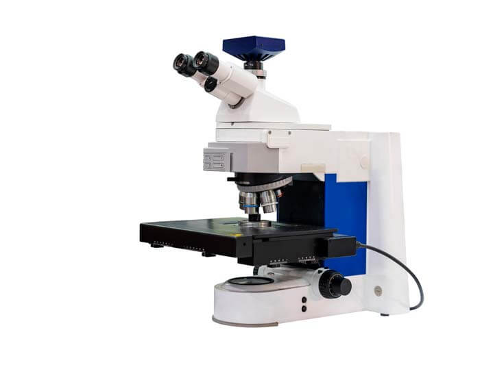 10 Best Stereo Microscopes Reviews 2024 Value For Money