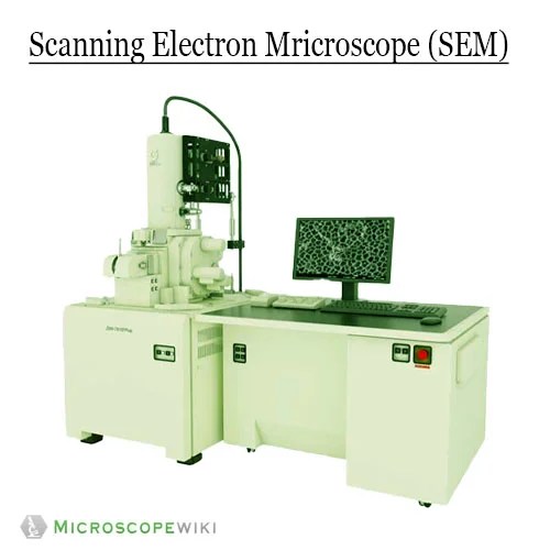 Electron Microscope Principle, Uses, Types and Images (Labeled Diagram