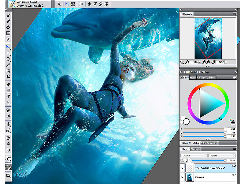 Corel Grafik Software Painter 2017 (GrafikDesignSoftware)