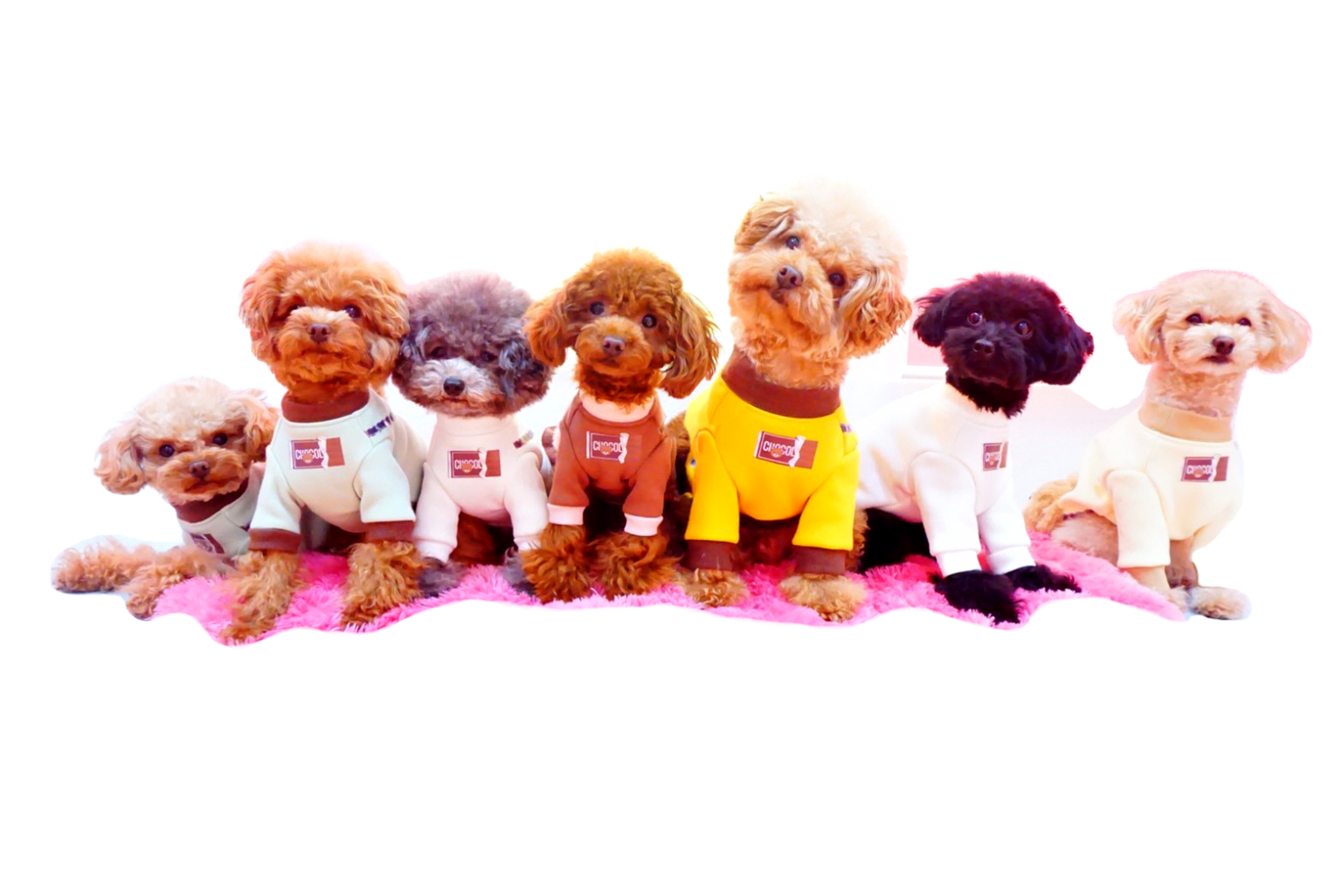 Micro Tea Cup Cafe マイクロティーカップカフェ