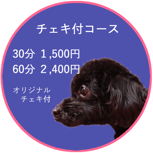 Micro Tea Cup Cafe マイクロティーカップカフェ