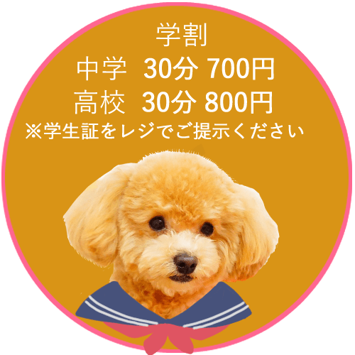 Micro Tea Cup Cafe マイクロティーカップカフェ