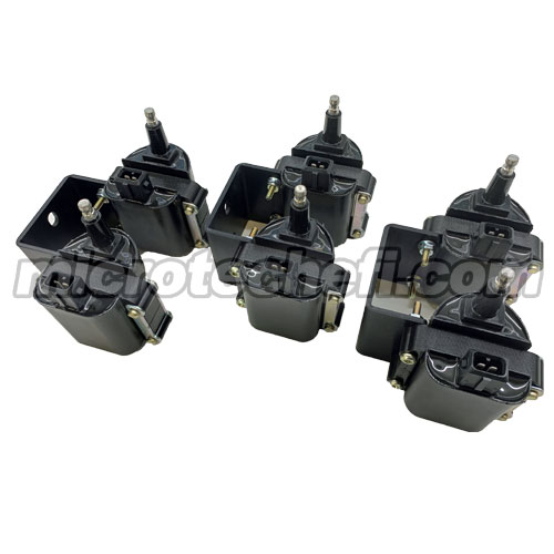 6 Cyl Bosch Ignition Coils Microtech EFI