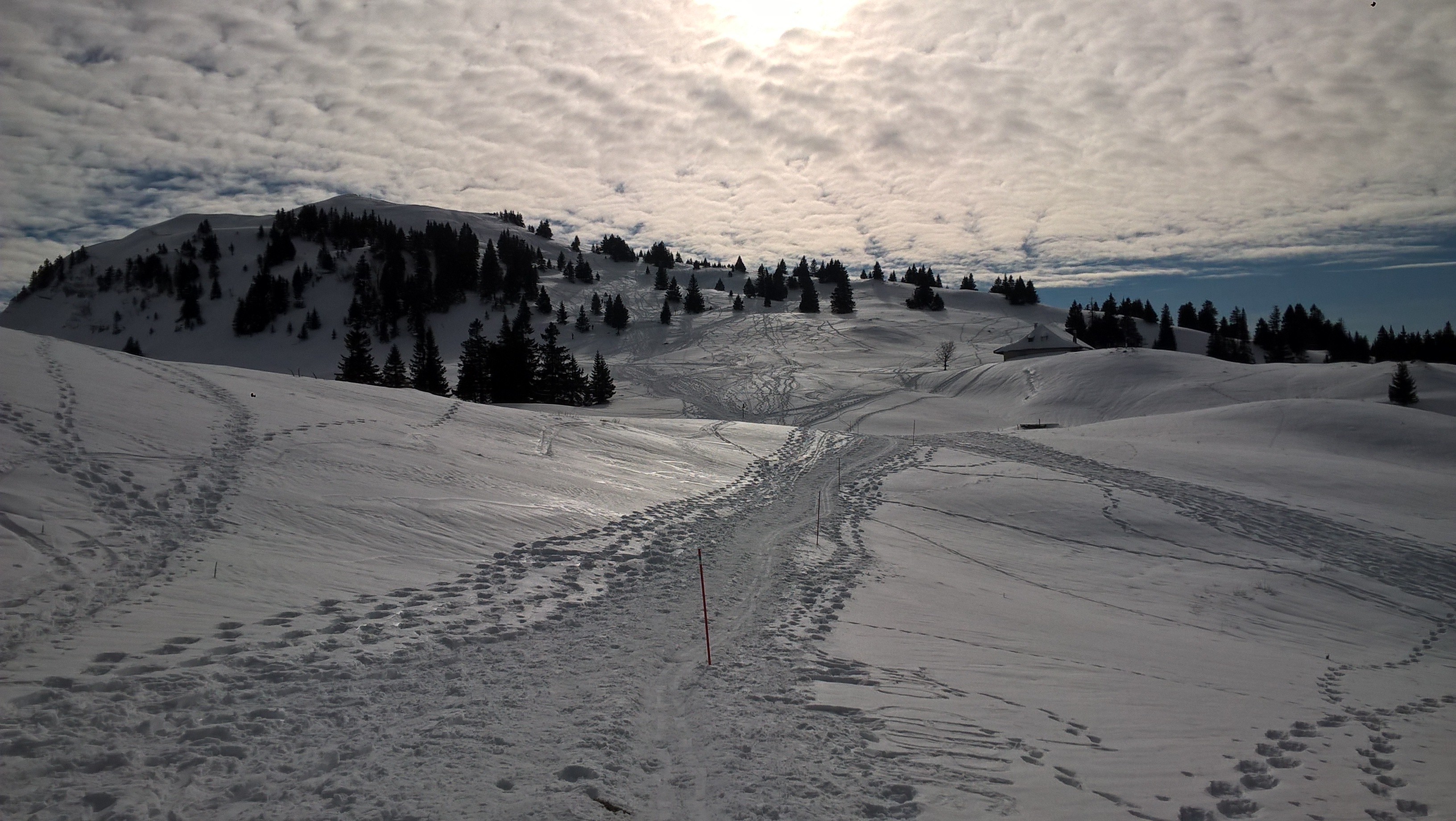 Cross country skiing and snowshoeing in the Jura La