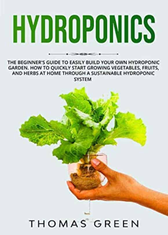 How to Grow Hydroponically Grown Lettuce A Guide for Home Gardeners