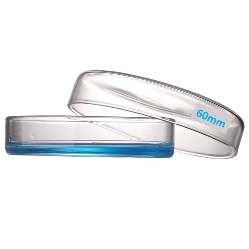 60mm OD Glass Petri Dish with Lid (Pack of 20) For our online store