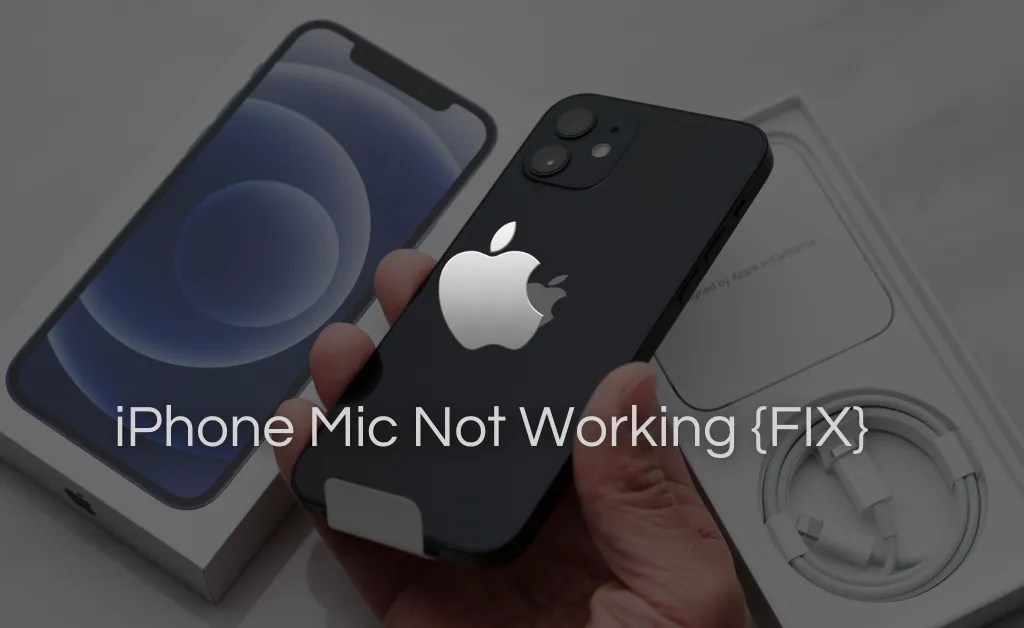 iPhone Microphone Not Working? 7 easy fixes to get started Mic Tester