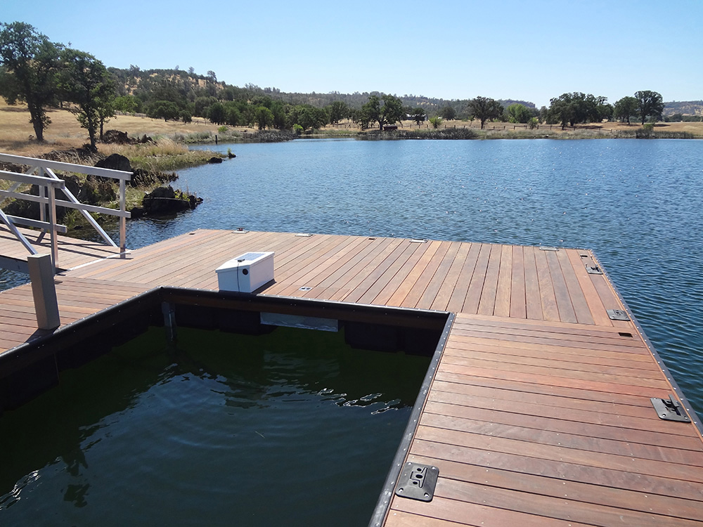 Ipe Dock, Lake Tulloch MidCal Construction