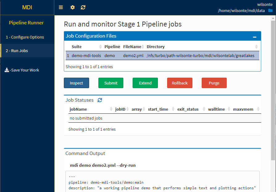 Pipeline Runner MDI Apps Framework