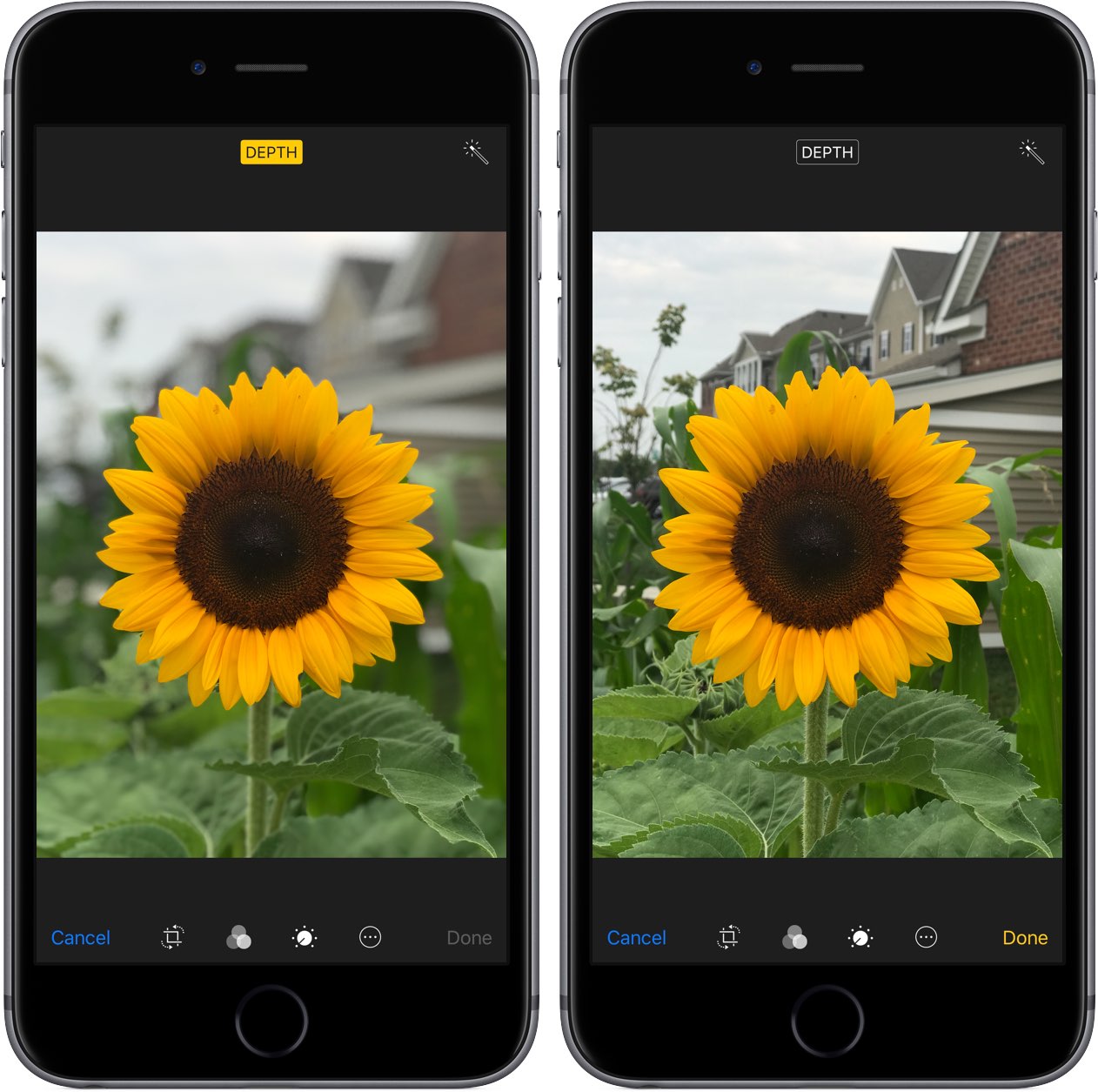 How to remove depth effect from Portrait mode photos Mid Atlantic
