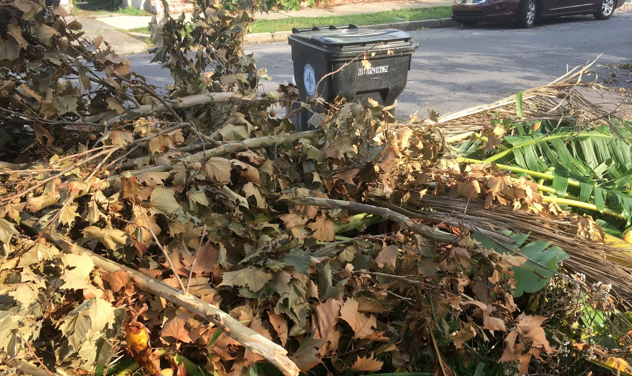 Talking trash What's going on with garbage and debris pickup? Mid