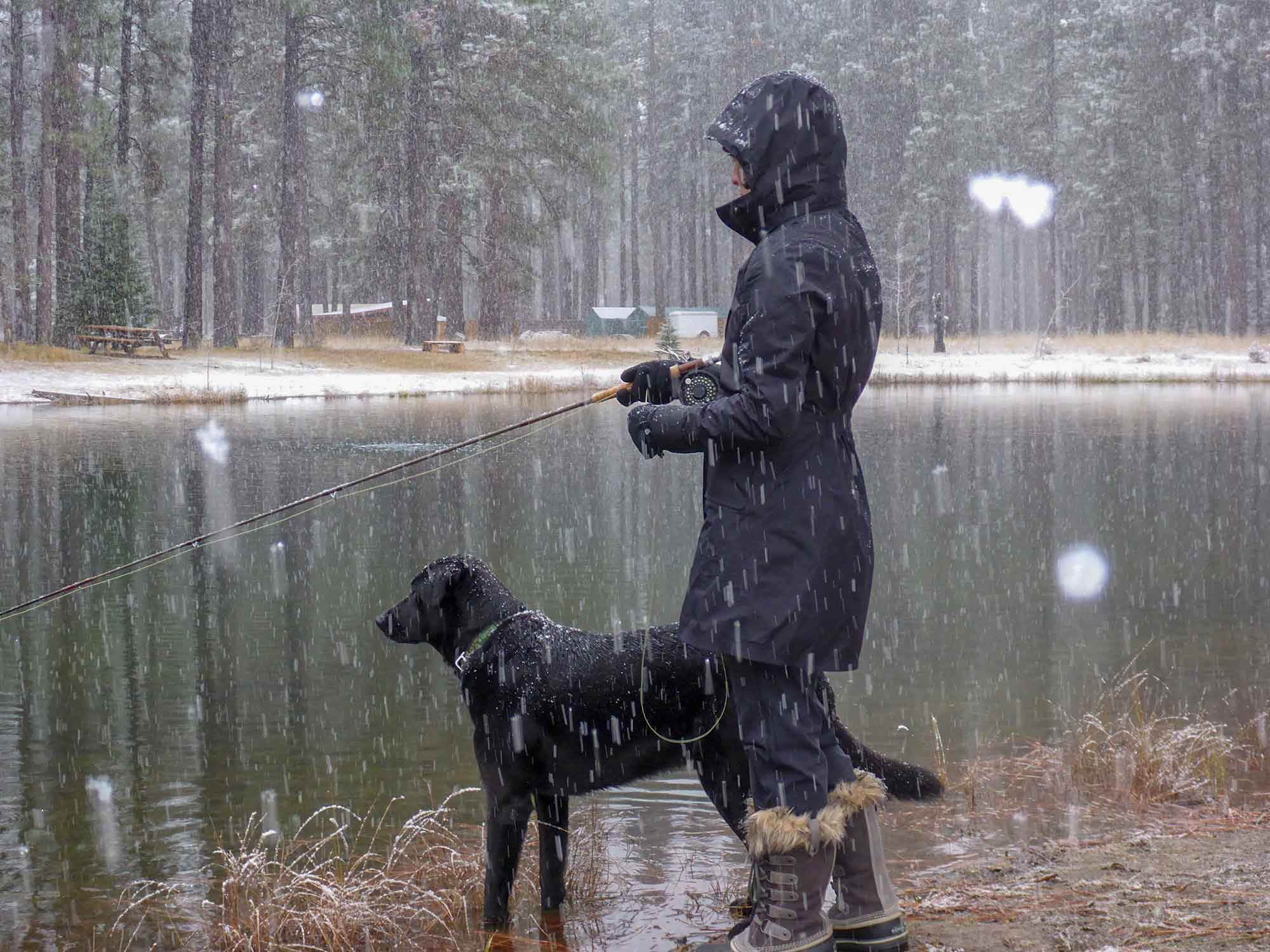 "A Fishing Dog" MidCurrent