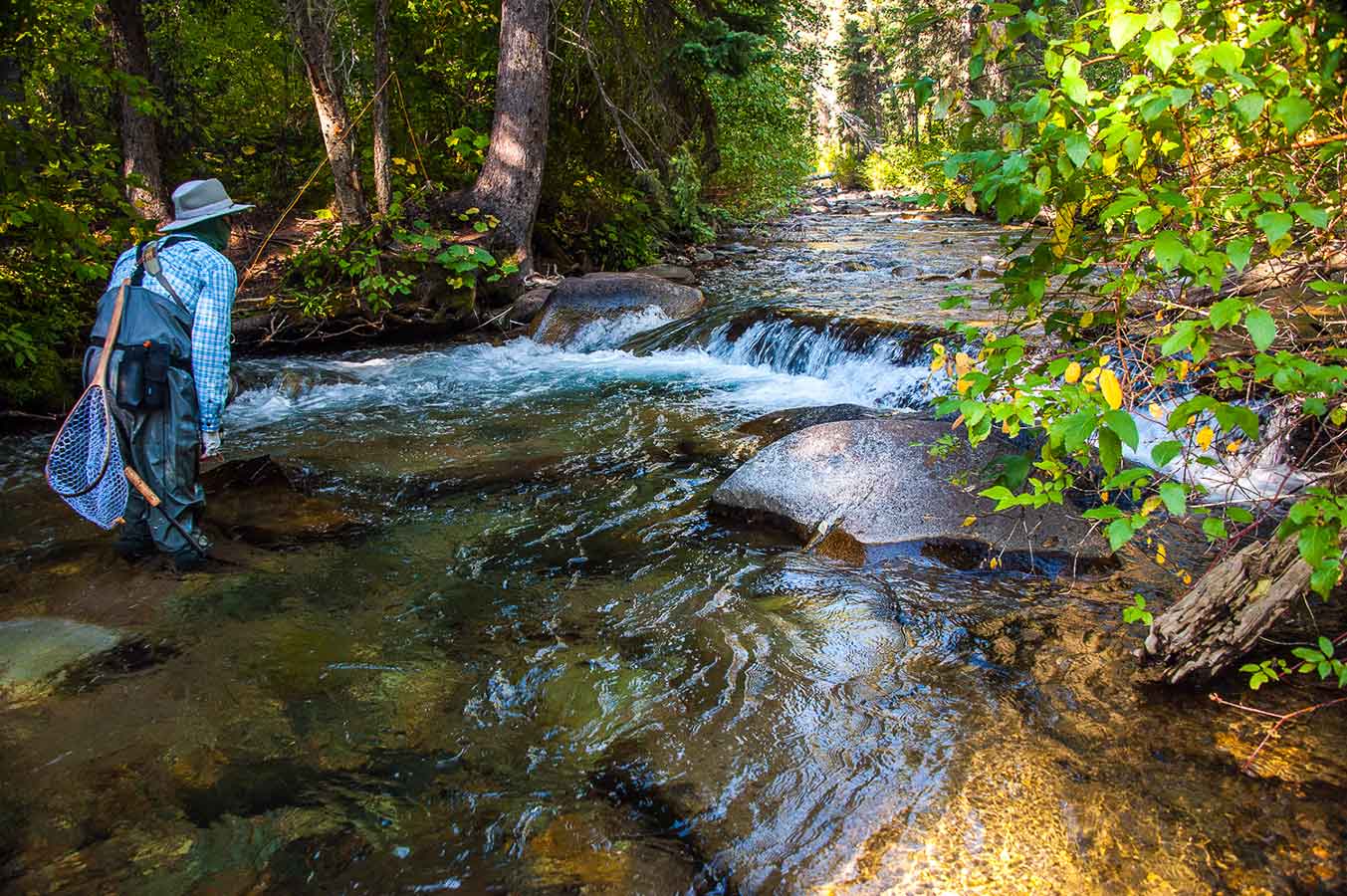 How to Fish High Mountain Creek Pools MidCurrent
