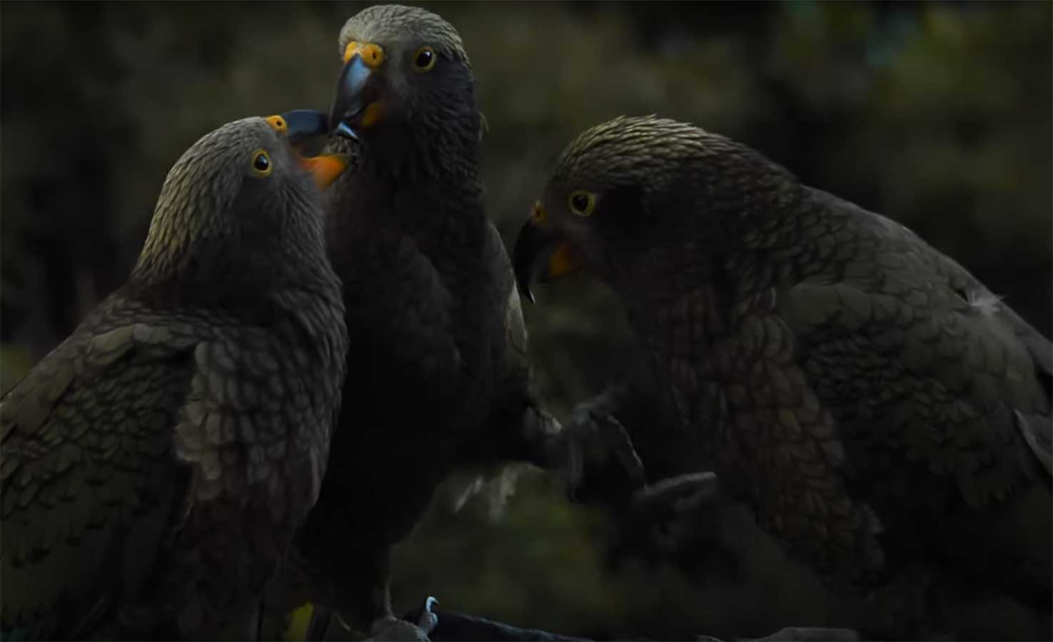 "Beyond the Fish" MidCurrent