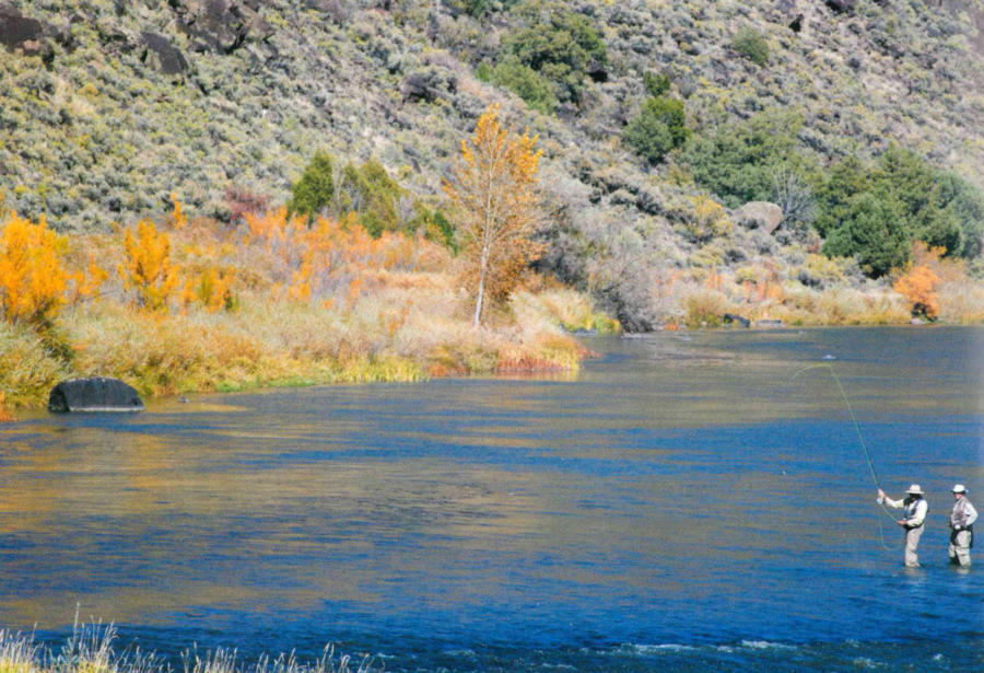 New Mexico Fishing Guidebook Released MidCurrent