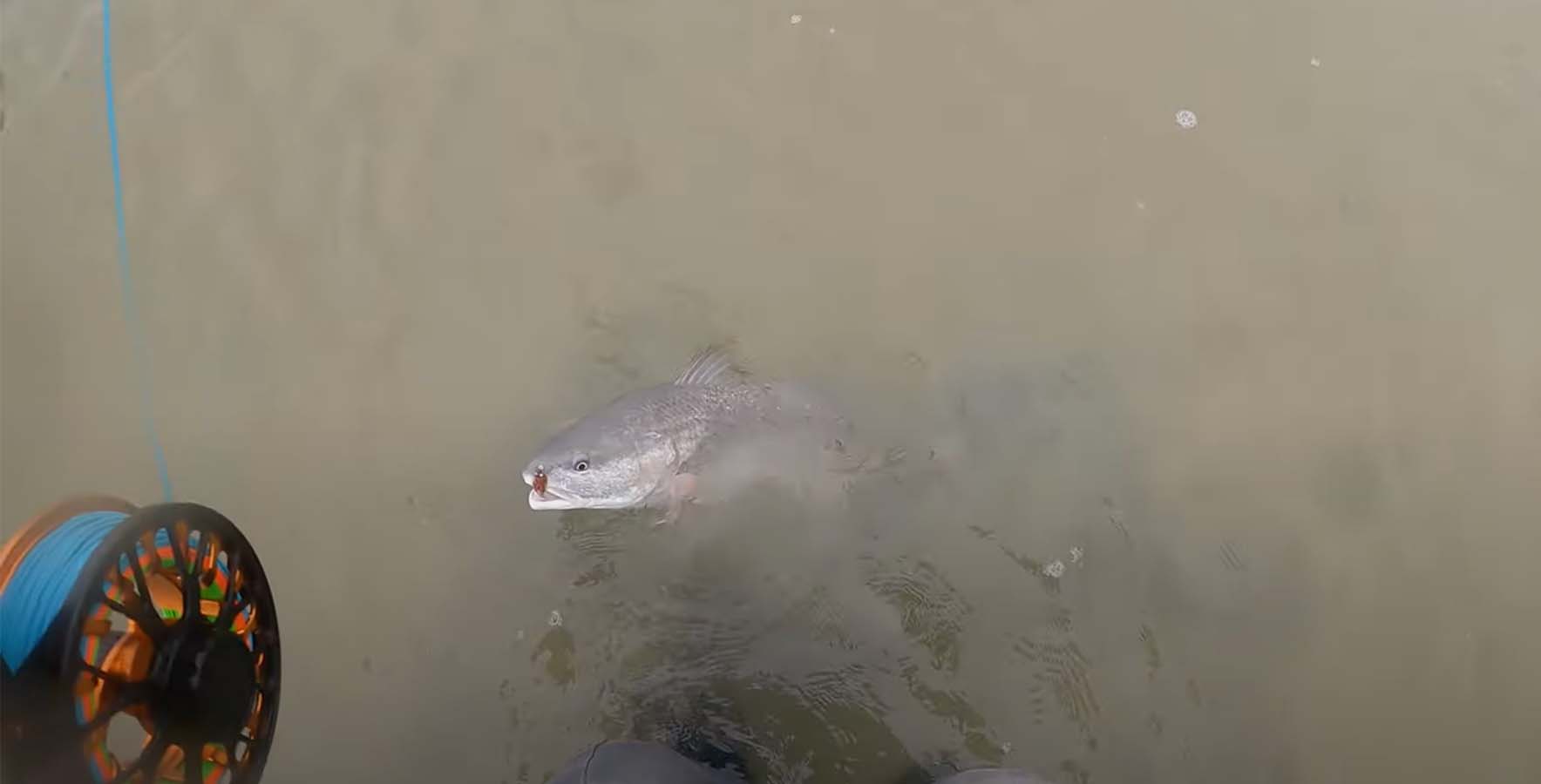 "Fly fishing vs Conventional Redfish in the Salt Water McFly Angler