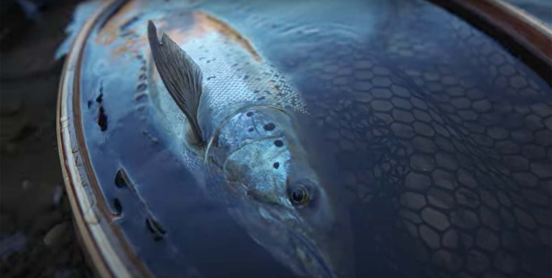 "Fly Fishing Great Lakes Steelhead Fall 2021" MidCurrent