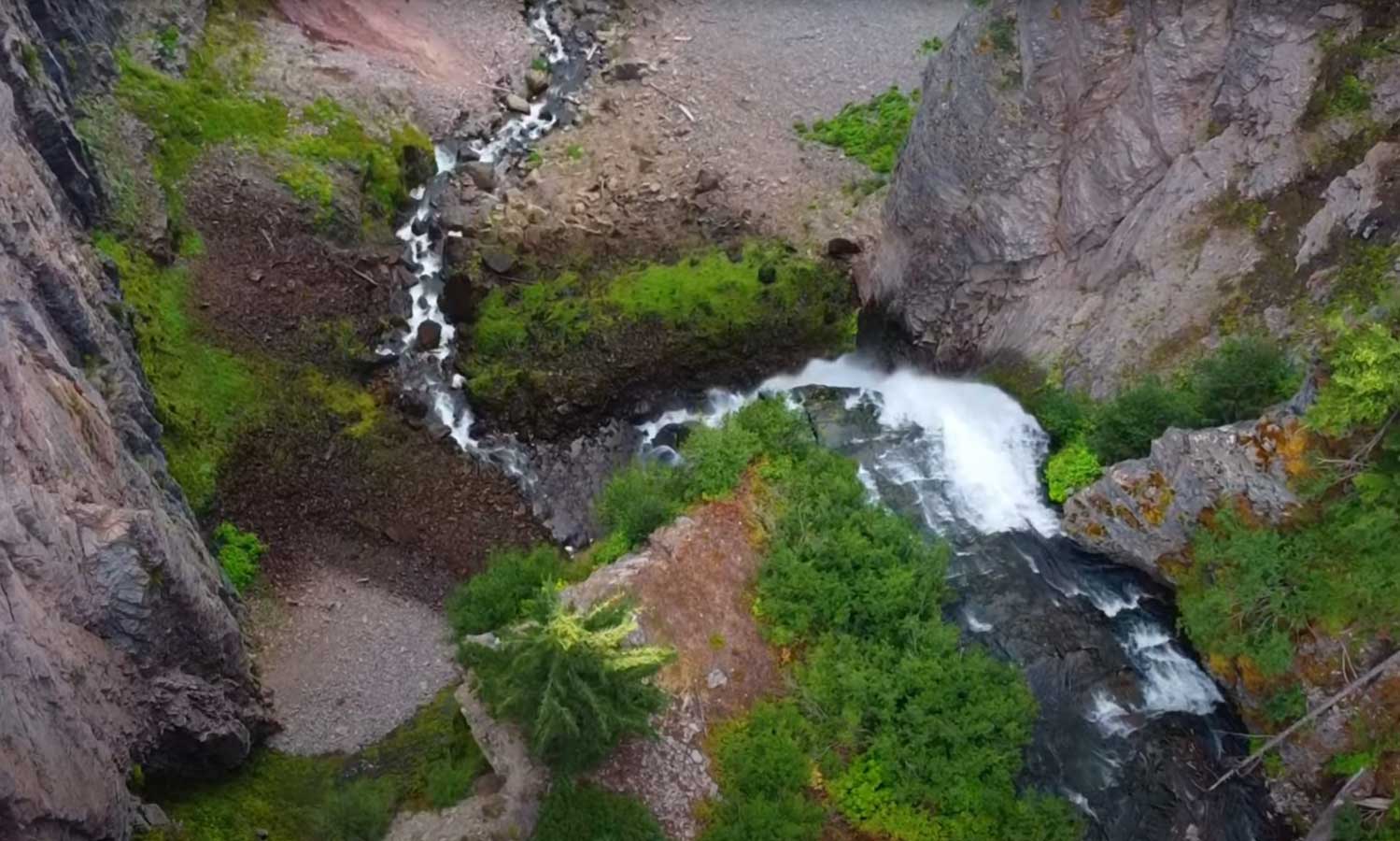 "Mount Rainier, Wild Flowers, Fly Fishing and a Rare Catch & Release