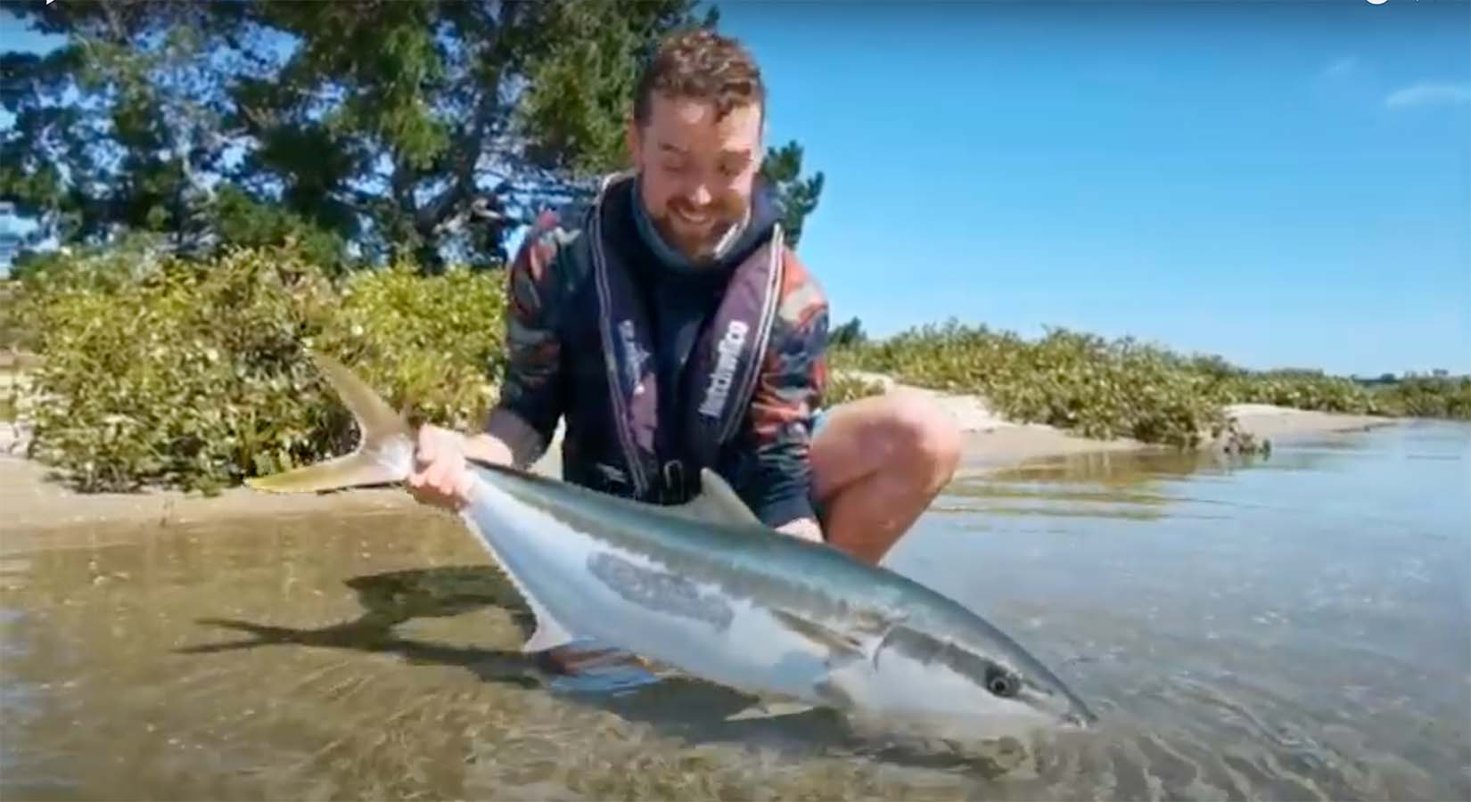 "Incredible Saltwater Fly Fishing New Zealand" MidCurrent