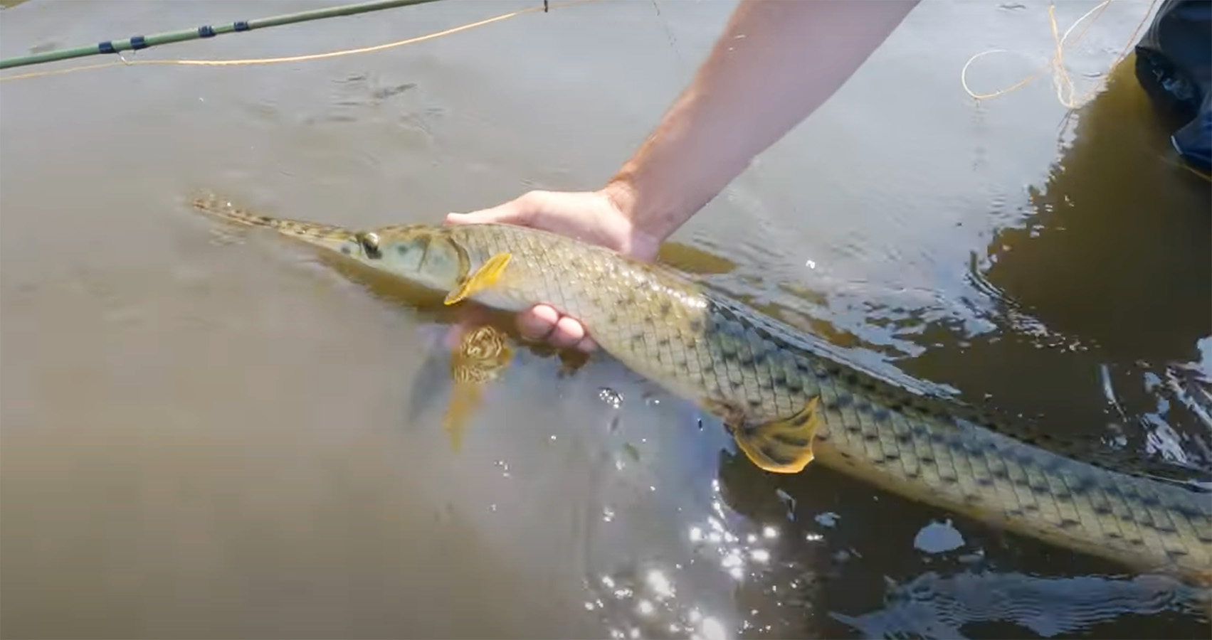"Freshwater Flats for Carp, Gar, and Smallmouth Bass" MidCurrent